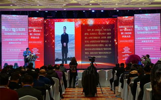 資產(chǎn)置換 撬動民營經(jīng)濟(jì)發(fā)展的新支點(diǎn)與商務(wù)信息咨詢的價(jià)值